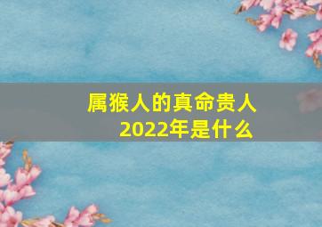 属猴人的真命贵人2022年是什么