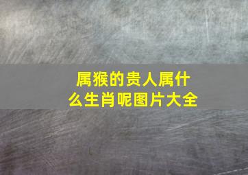 属猴的贵人属什么生肖呢图片大全