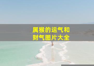 属猴的运气和财气图片大全