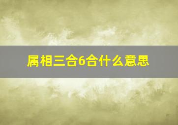 属相三合6合什么意思