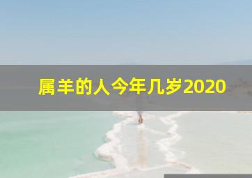 属羊的人今年几岁2020