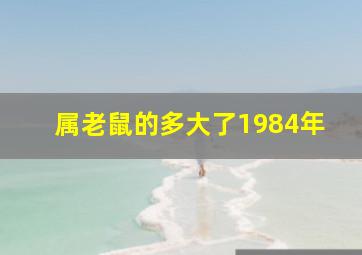 属老鼠的多大了1984年