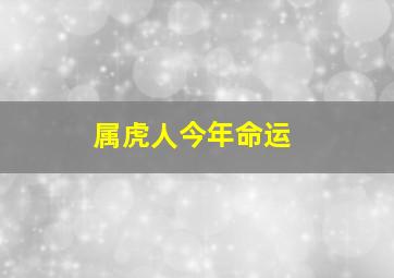 属虎人今年命运