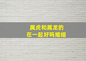 属虎和属龙的在一起好吗婚姻