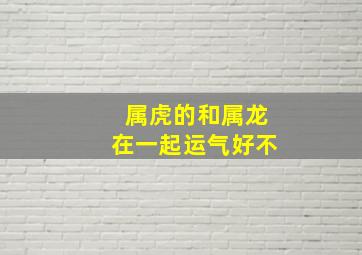 属虎的和属龙在一起运气好不