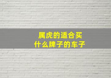 属虎的适合买什么牌子的车子