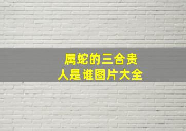 属蛇的三合贵人是谁图片大全