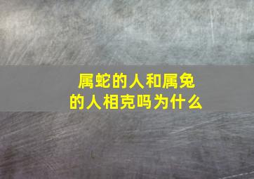 属蛇的人和属兔的人相克吗为什么