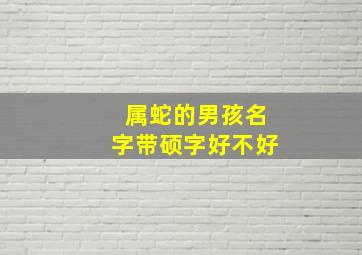 属蛇的男孩名字带硕字好不好