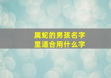 属蛇的男孩名字里适合用什么字