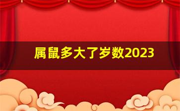 属鼠多大了岁数2023