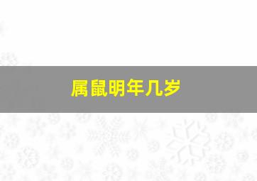 属鼠明年几岁