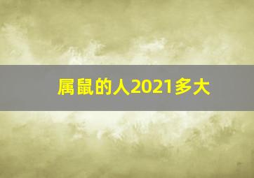 属鼠的人2021多大