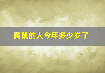 属鼠的人今年多少岁了