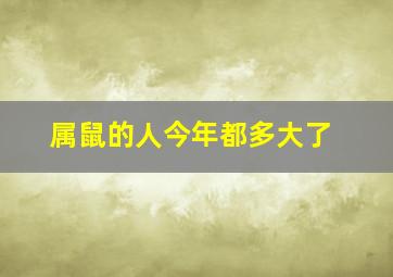 属鼠的人今年都多大了