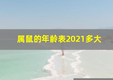 属鼠的年龄表2021多大