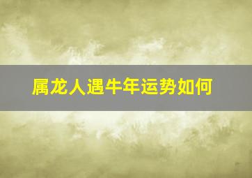 属龙人遇牛年运势如何