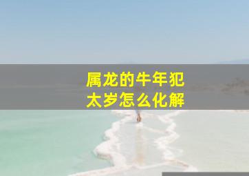 属龙的牛年犯太岁怎么化解