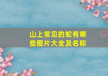 山上常见的蛇有哪些图片大全及名称