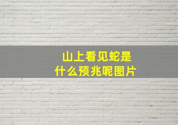 山上看见蛇是什么预兆呢图片