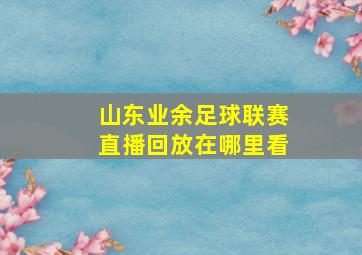 山东业余足球联赛直播回放在哪里看