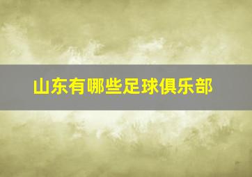 山东有哪些足球俱乐部