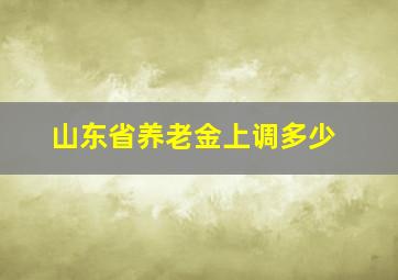 山东省养老金上调多少