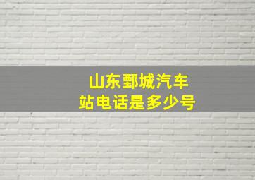 山东鄄城汽车站电话是多少号