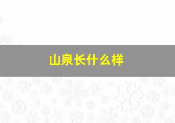 山泉长什么样