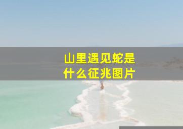 山里遇见蛇是什么征兆图片