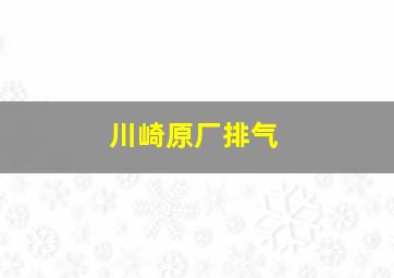 川崎原厂排气