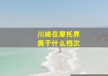 川崎在摩托界属于什么档次