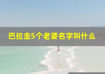 巴拉圭5个老婆名字叫什么