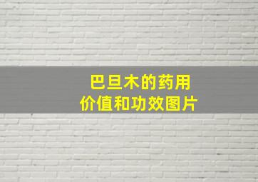 巴旦木的药用价值和功效图片