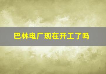 巴林电厂现在开工了吗