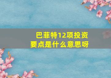 巴菲特12项投资要点是什么意思呀