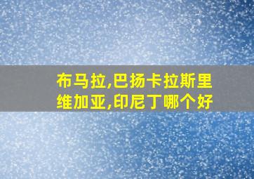 布马拉,巴扬卡拉斯里维加亚,印尼丁哪个好