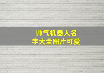 帅气机器人名字大全图片可爱