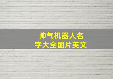 帅气机器人名字大全图片英文