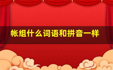 帐组什么词语和拼音一样