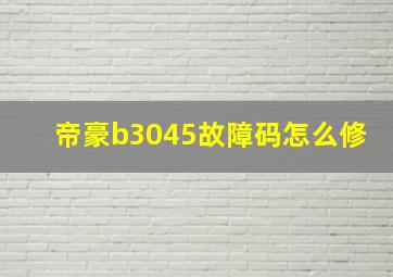 帝豪b3045故障码怎么修