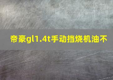 帝豪gl1.4t手动挡烧机油不