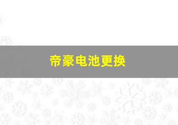 帝豪电池更换