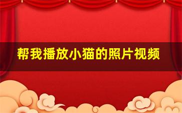 帮我播放小猫的照片视频