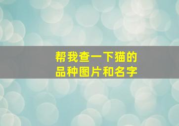 帮我查一下猫的品种图片和名字