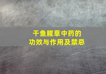 干鱼腥草中药的功效与作用及禁忌