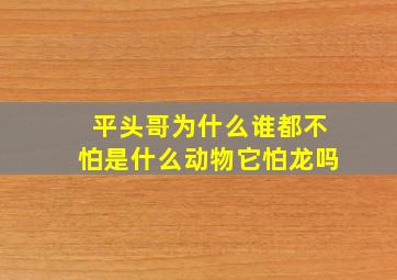 平头哥为什么谁都不怕是什么动物它怕龙吗