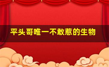 平头哥唯一不敢惹的生物