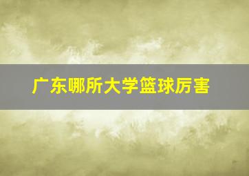 广东哪所大学篮球厉害