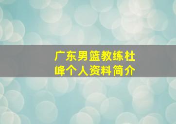 广东男篮教练杜峰个人资料简介